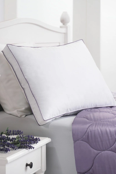 Allied Home Aroma Infusion Standard Lavender Scented Cotton Gel Fiber Pillow In White