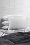 Ella Jayne Cotton Blend Superior Down-like Soft Stomach Sleeper Queen Pillow In White