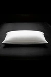 Ella Jayne Home White Down 100% Certified Rds Firm Side/back Sleeper Pillow In White