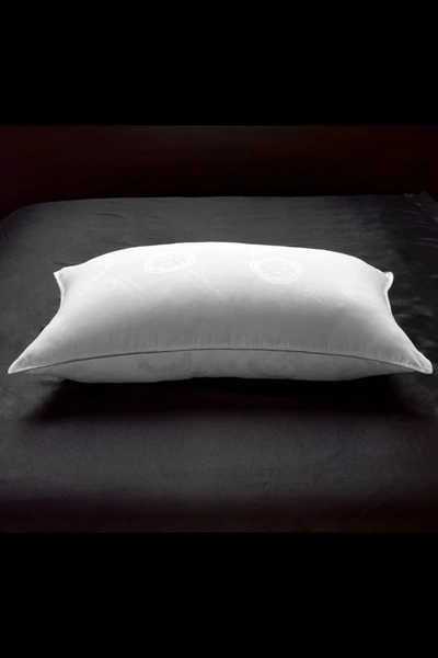 Ella Jayne Soft Luxurious White Down 100% Certified Rds Stomach Sleeper Pillow