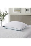 Blue Ridge Home Fashions 2pk Serta 233 Thread Count Summer & Winter White Goose Feather Bed Pillow In White