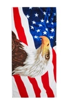 APOLLO TOWELS AMERICAN BALD EAGLE BEACH TOWEL,853324005806