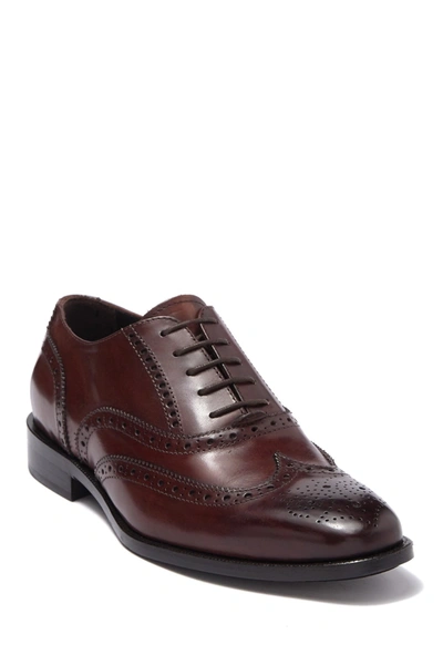 To Boot New York Winthrop Wingtip Leather Oxford In Marrone