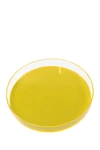 R16 HOME NEON YELLOW ROUND TRAY,767843375343