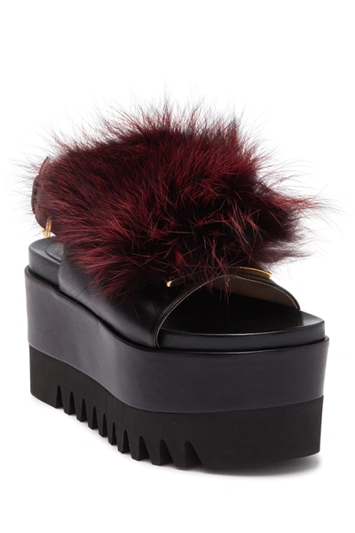 Sergio Rossi Fur Platform Wedge Sandal In Black Dark Cherry