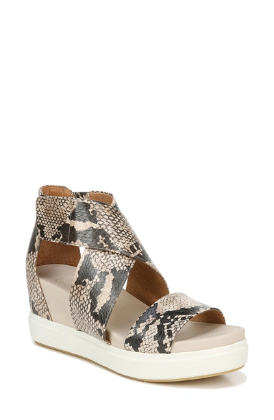 Dr. Scholl's Sheena Sport Sandal In Snake Print Faux Leather