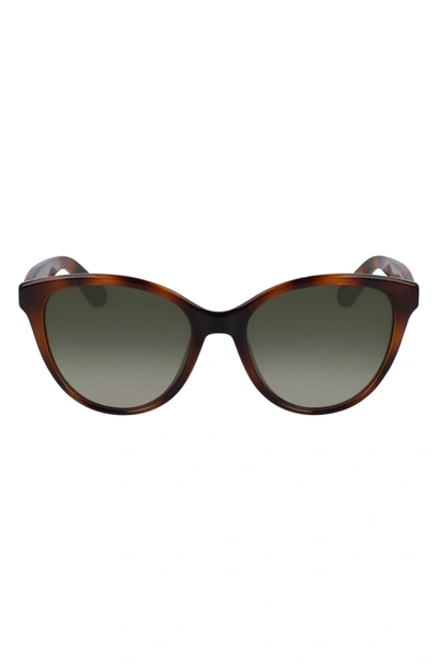 Chloé 54mm Gradient Cat Eye Sunglasses In Havana