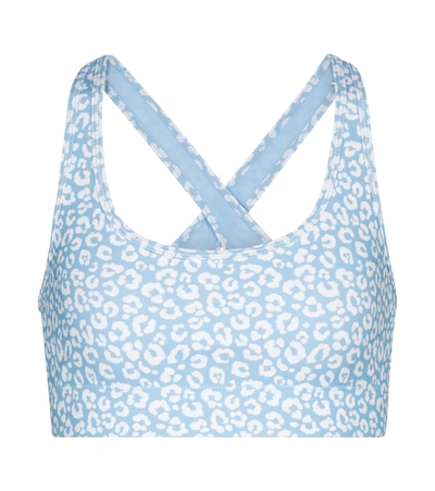 Adam Selman Sport Cross-back Bra - Powder Blue Mini Leopard - Size Xs