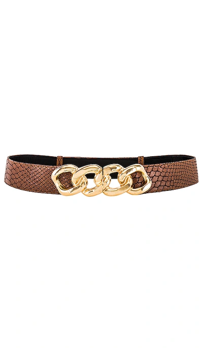 Raina Jacklyn Belt In Brown