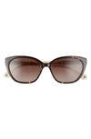 Kate Spade Phillipa 54mm Gradient Cat Eye Sunglasses In Havana/ Beige/ Brown