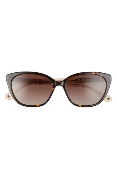 Kate Spade Phillipa 54mm Gradient Cat Eye Sunglasses In Havana Beige/brown Gradient