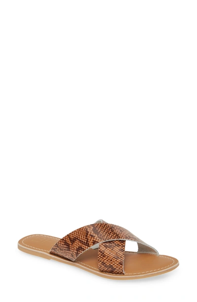Coconuts By Matisse Pebble Slide Sandal In Brown Snk Leather