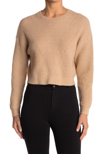 Elodie Crew Neck Crop Pullover Sweater In Tan