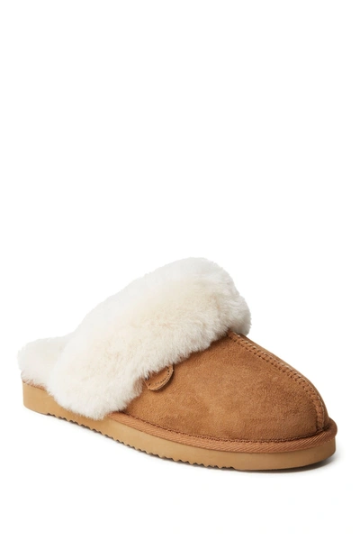 Fireside By Dearfoams Sydney Water Resistant Genuine Shearling Scuff Slipper In Chestnut