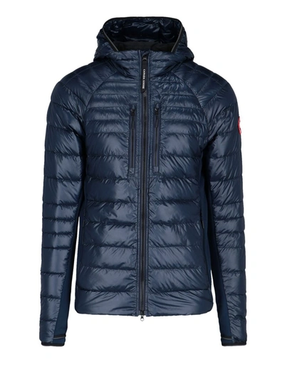 Canada Goose Hooded Quilted Jacket In Blue