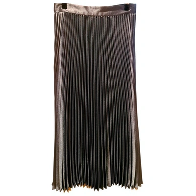 Pre-owned Ted Baker Maxi Skirt In Metallic