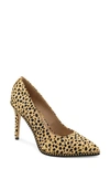 Bcbgeneration Holli Pointed Toe Pump In Natural Cheetah Calf Hair