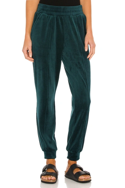 1.state Velour Joggers In Green Forest
