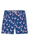 Tom & Teddy Boys' Flamingo Swim Trunks - Little Kid, Big Kid In Rose And Blu