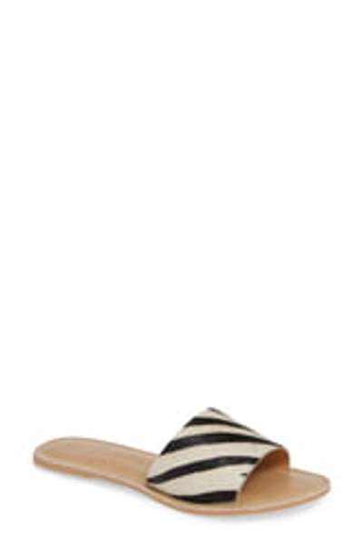 Beach By Matisse Cabana Slide Sandal In Zebra Cowhair