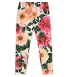 DOLCE & GABBANA FLORAL STRETCH-COTTON LEGGINGS,P00538928