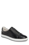 ENGLISH LAUNDRY HARRY LEATHER SNEAKER,190320197839