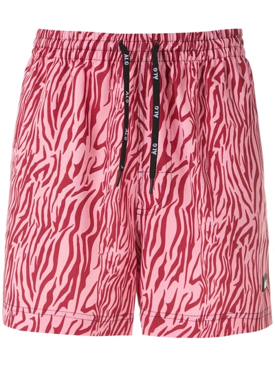 Àlg Oxford Zebra Shorts In Pink