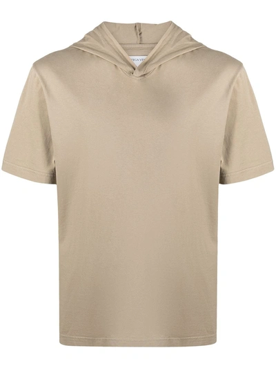 Bottega Veneta Hooded Short-sleeve T-shirt In Neutrals