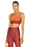 The Upside Murty Daisy Color-block Sprots Bra In Maroon
