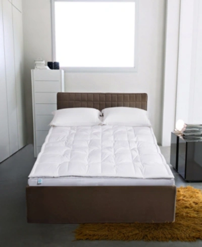 Martha Stewart 3'' White Down Top Featherbed, Full