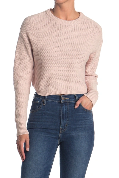 Abound Textured Crop Sweater In Pink Smoke
