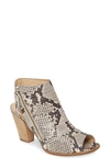 Paul Green Cayanne Leather Peep Toe Sandal In Pebble Snake