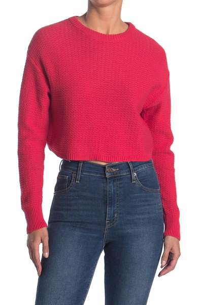 Abound Textured Crop Sweater In Red Saucy