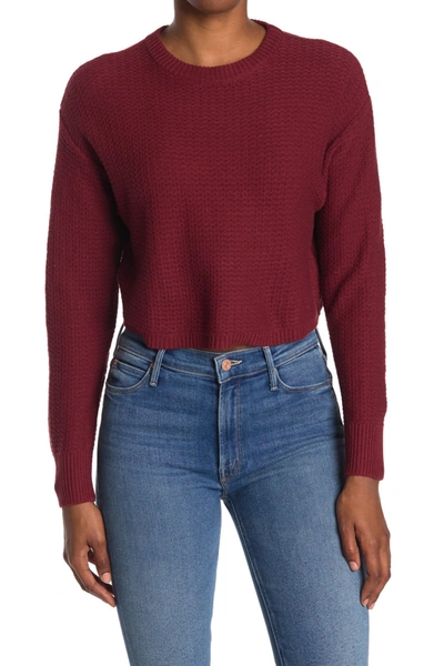 Abound Textured Crop Sweater In Red Pomegranate