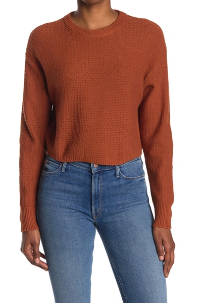 Abound Textured Crop Sweater In Rust Gingersnap