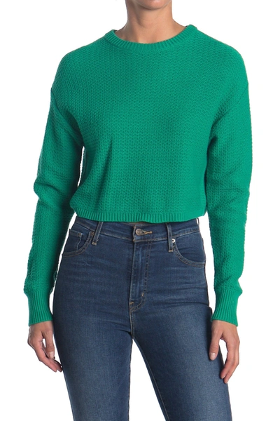 Abound Textured Crop Sweater In Green Viridis