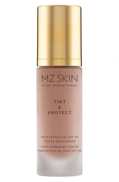 Mz Skin Tint & Protect Skin Perfecting Spf 30 Tinted Moisturiser 1 Oz. In N,a