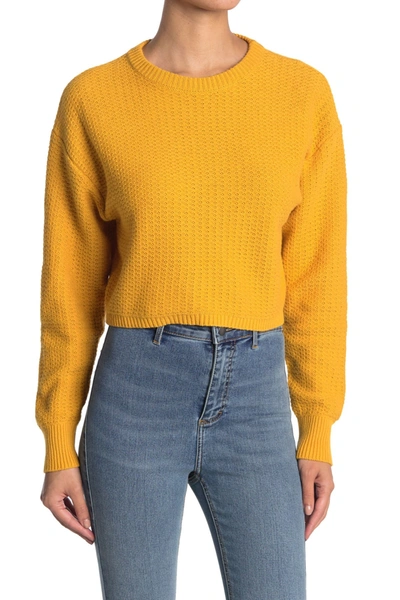 Abound Textured Crop Sweater In Yellow Mineral