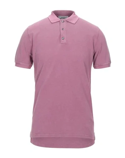 Alpha Studio Polo Shirts In Mauve