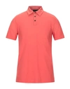 Roberto Collina Man Polo Shirt Coral Size 46 Cotton In Red