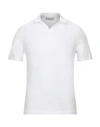 Alpha Studio Polo Shirts In White