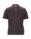 Alpha Studio Polo Shirts In Dark Brown