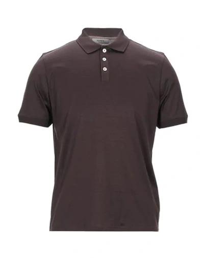 Alpha Studio Polo Shirts In Dark Brown