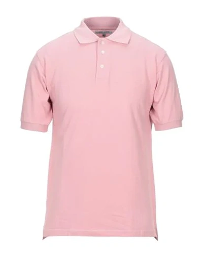 Hardy Crobb's Polo Shirts In Pink
