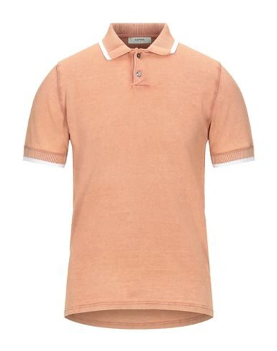 Alpha Studio Polo Shirts In Pale Pink