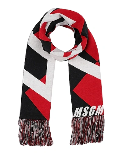 Msgm Scarves In Red