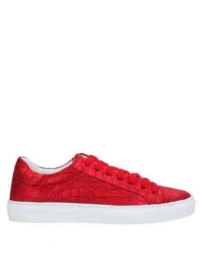 Hide & Jack Sneakers In Red
