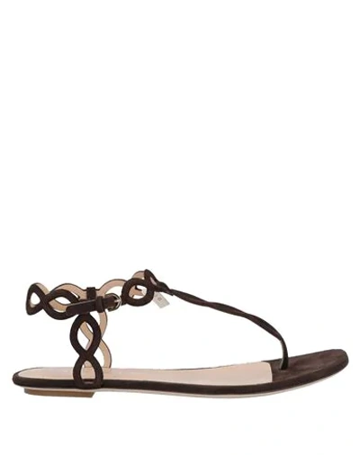 Sergio Rossi Toe Strap Sandals In Brown