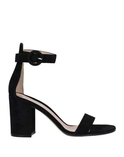 Gianvito Rossi Woman Sandals Black Size 7.5 Leather