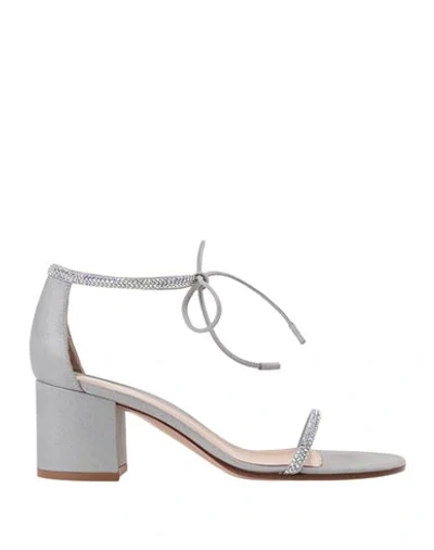 Gianvito Rossi Sandals In Light Grey
